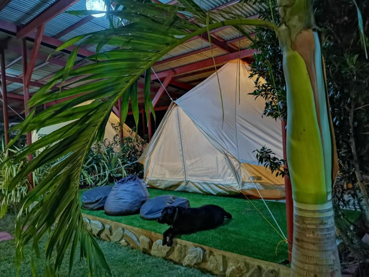 Glamping Alona Apartment Panglao Exterior photo